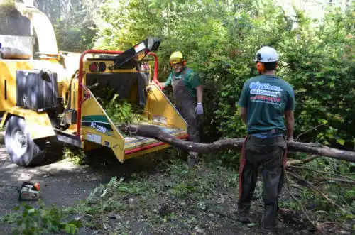 tree services Emmett